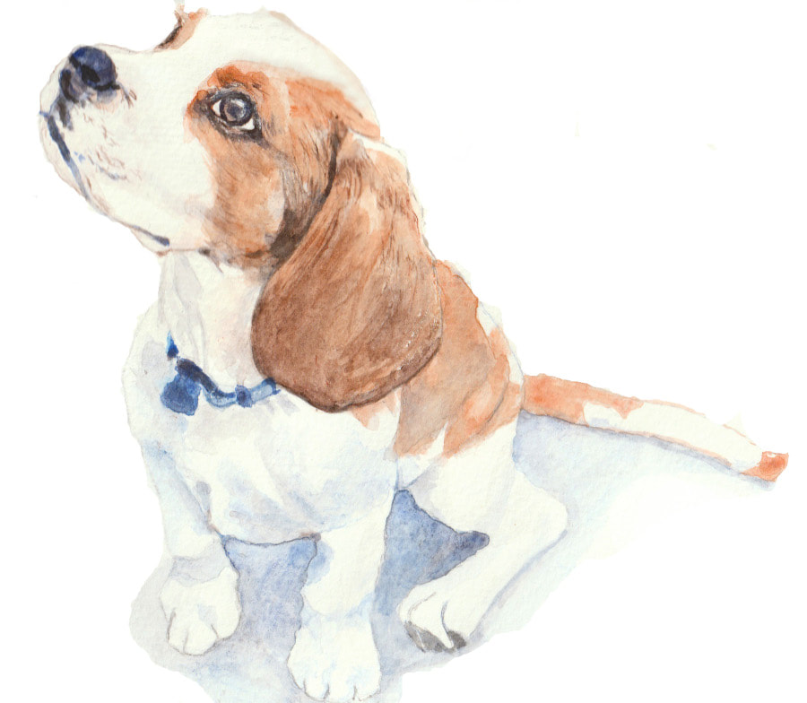 Watercolor of a puppy Beagle