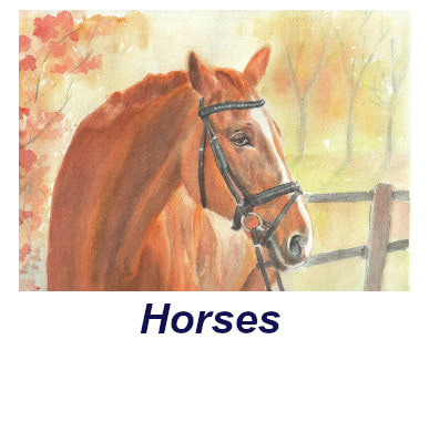 Horse head in watercolor