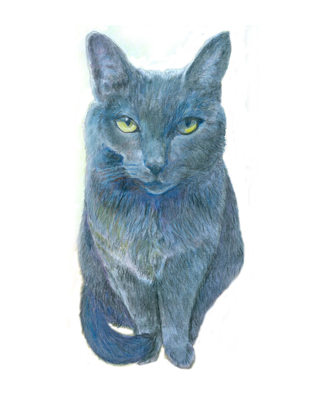 Gray cat in watercolor portrait