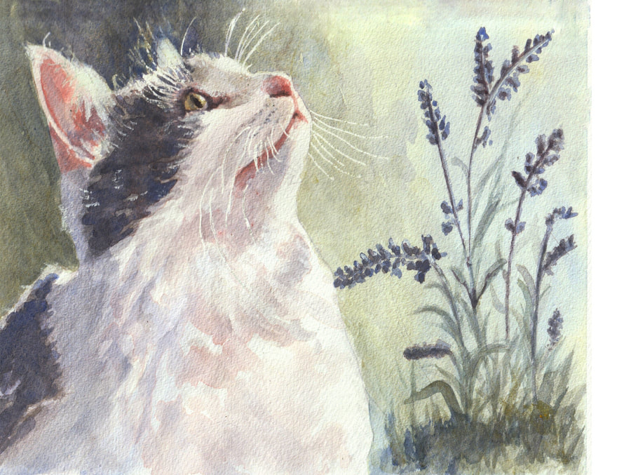 Watercolor of a little kitten white and gray looking up and blue flowers