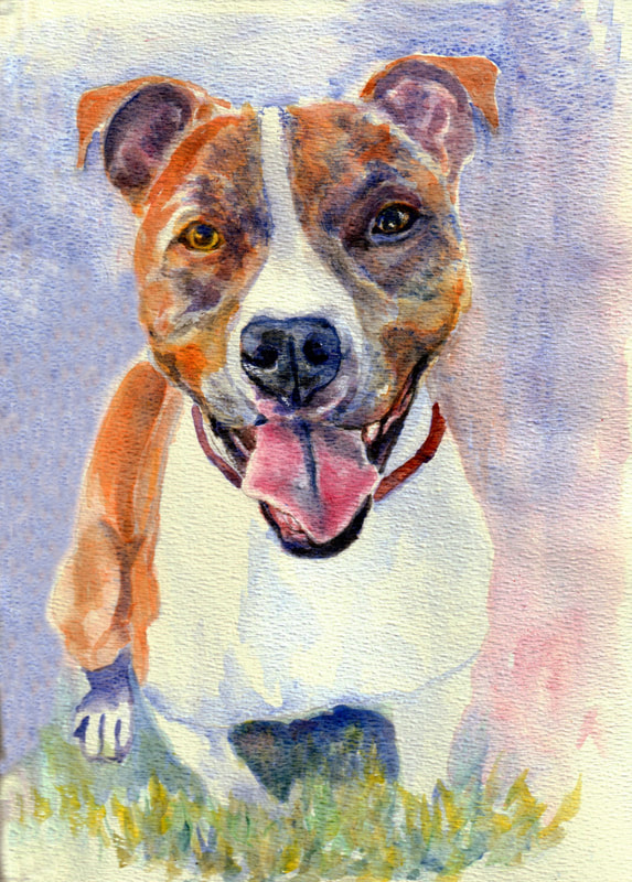 Watercolor of a Pit dog