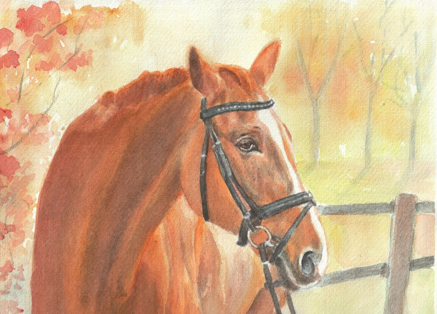 Watercolor of a red horse