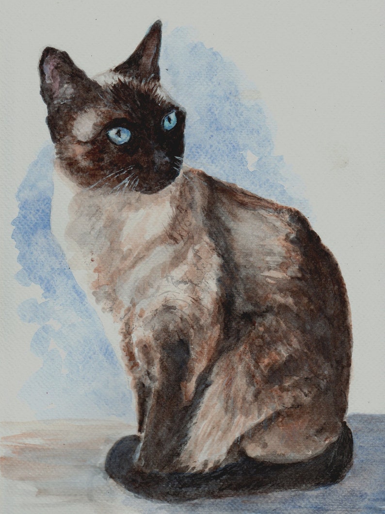 Siamese cat portrait in watercolor 