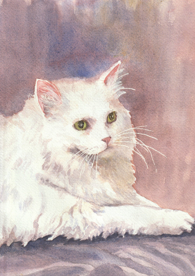 Longhair white cat in watercolor