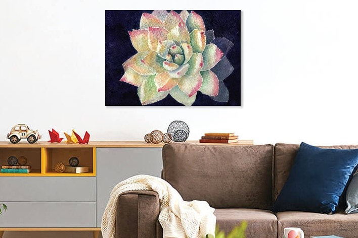 Succulent plant painting in watercolor hanging on wall