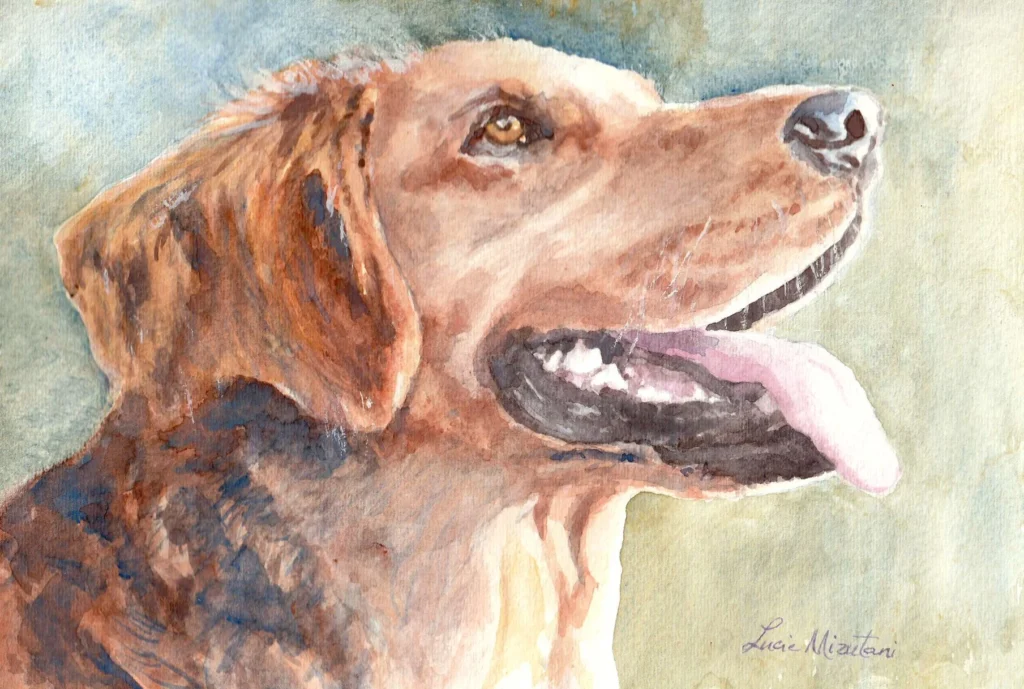 Golden retriever portrait in watercolor