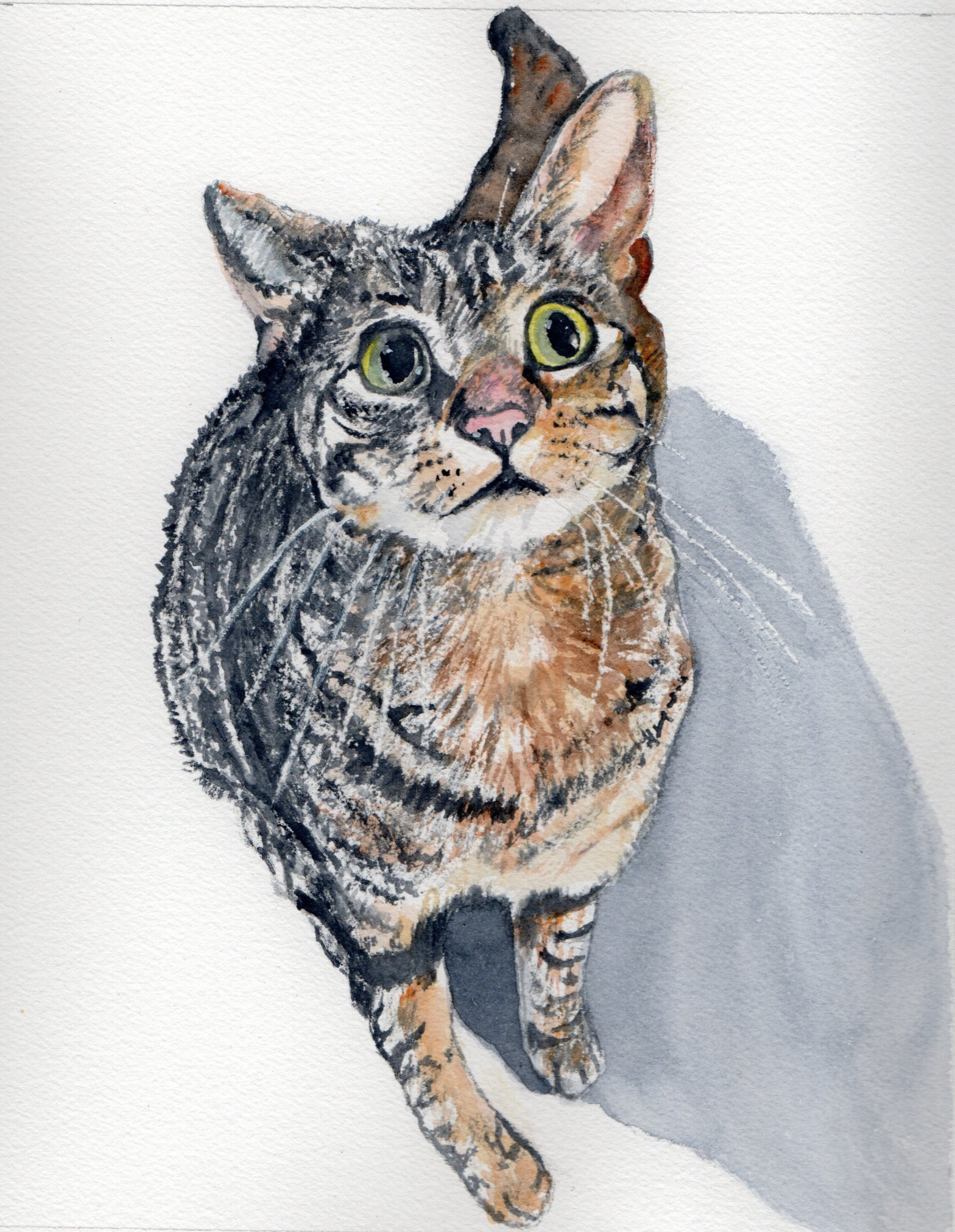 Gray Cat - Lucie Mizutani Watercolor Art