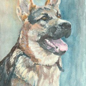 German Shepard Dog portrait