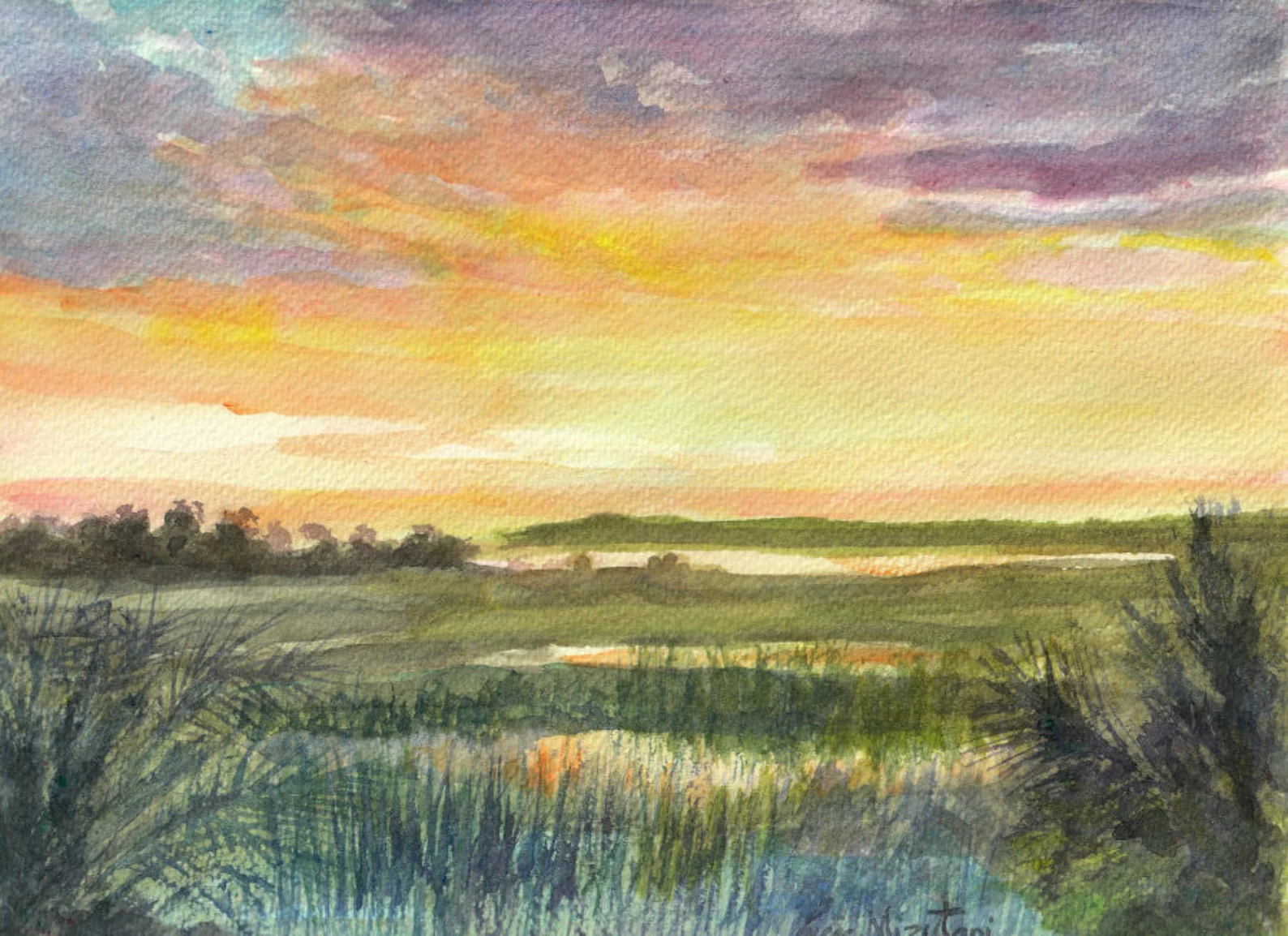 Marsh at the sunset