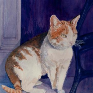 orange ginger calico cat