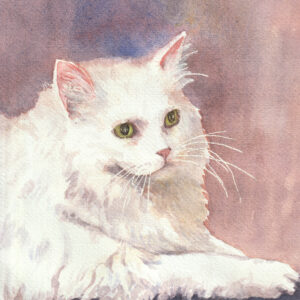 white cat with green eyes