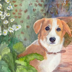 Jack Terrier in the garden